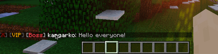 Chat placeholders demonstration